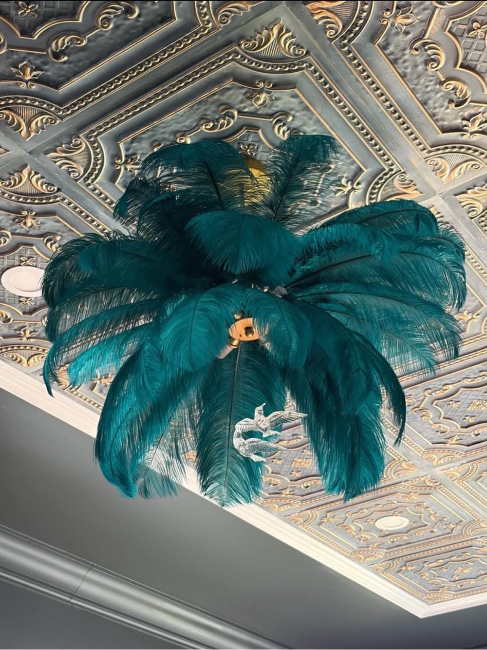 Brand new in box gorgeous feather light